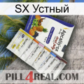 SX Устный 11